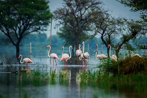 Migratory birds make this park incredibly appealing to birdwatchers
