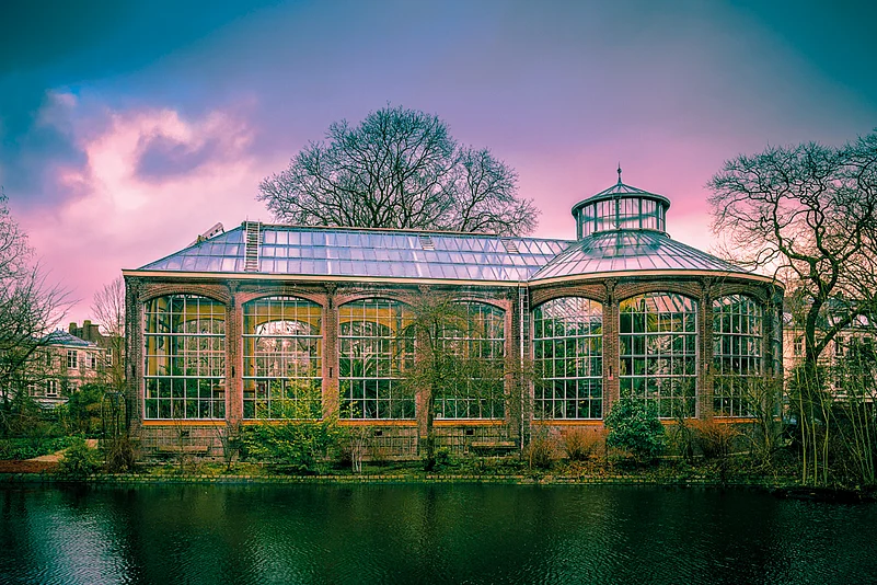 Greenhouse at Hortus Botanicus