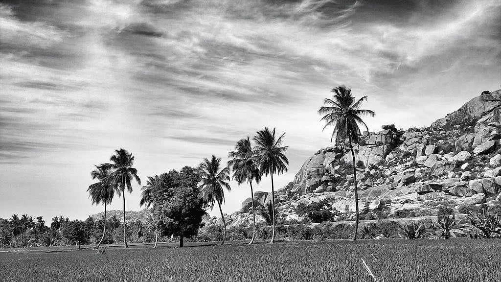 The beautiful boulder-strewn landscape intercepted by bright green paddy fields