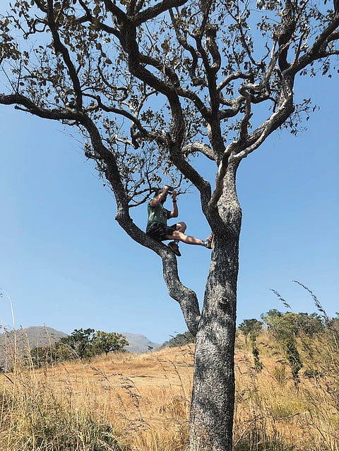 My colleague on the 'Single Tree'