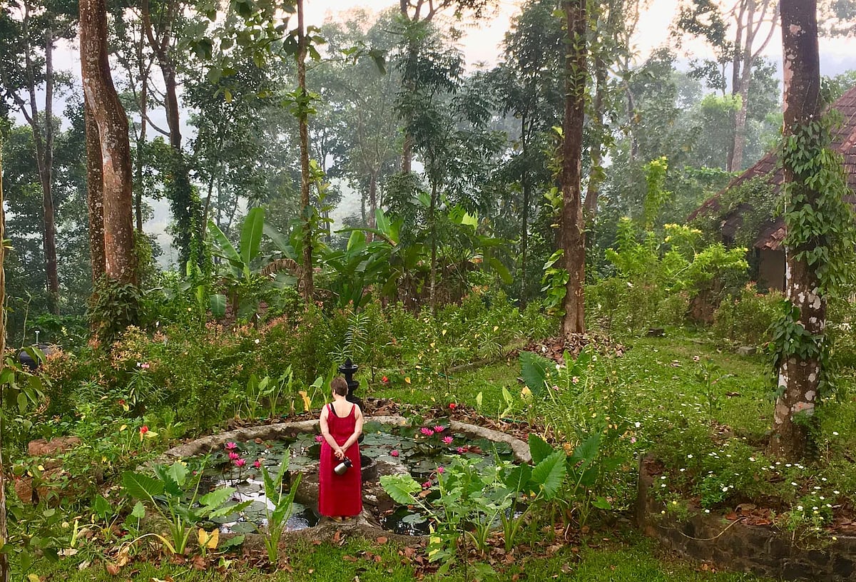 Photos of Munnar on the internet are not a patch on the real deal