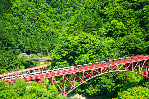 The iconic Shinyamabiko Bridge, its vivid hue contrasting against the lush greenery of Kurobe Gorge