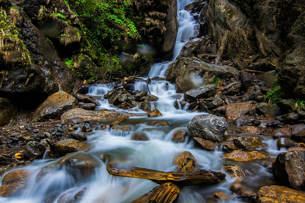 Walk among forests and streams in Kheer Ganga