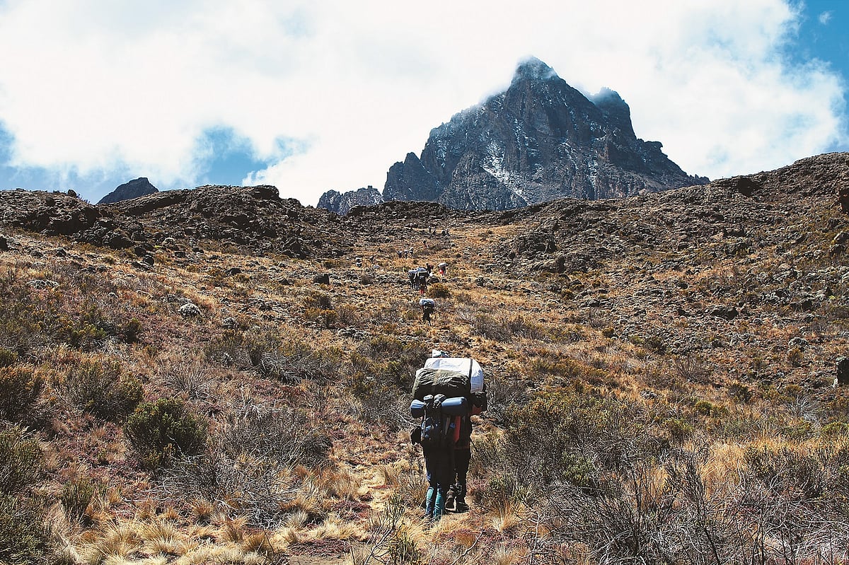 On the way to Kilimanjaro 