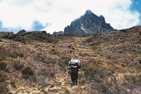 On the way to Kilimanjaro 