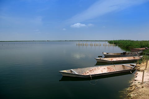 Kolleru lake forms the largest shallow freshwater lake in Asia