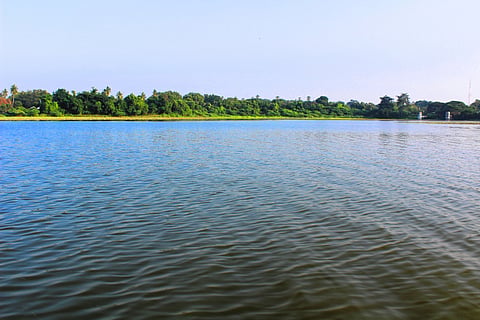 Ousteri Lake is home to a wide range of flora and fauna