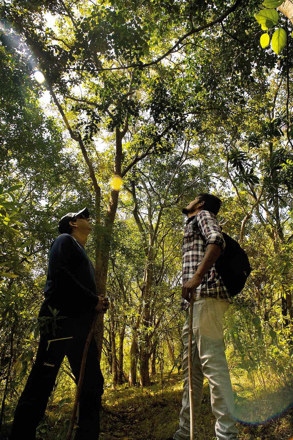 The working coffee estate has an unabashed non-resort vibe about it