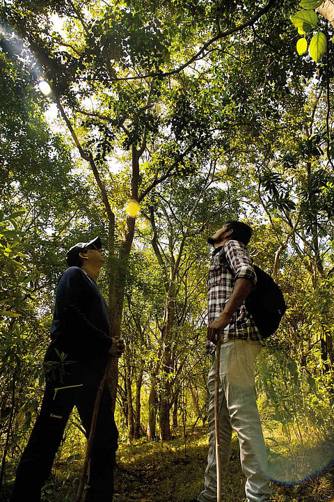 The working coffee estate has an unabashed non-resort vibe about it