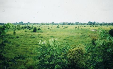 Old photo of the reserve forest area