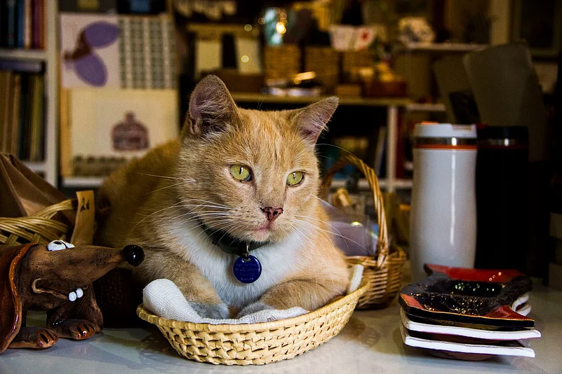 Ponulis at the bookstore