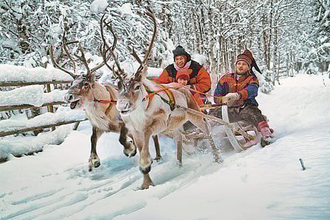 Take part in a reindeer sleigh ride when you visit the Santa Claus Village in Rovaniemi