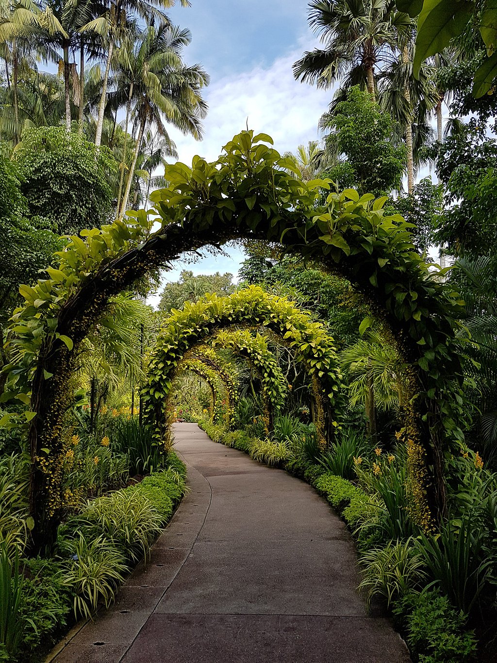 Singapore Botanic Gardens