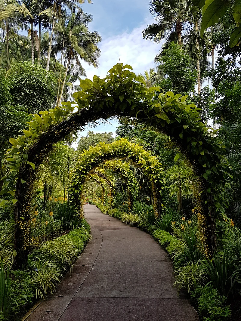 Singapore Botanic Gardens