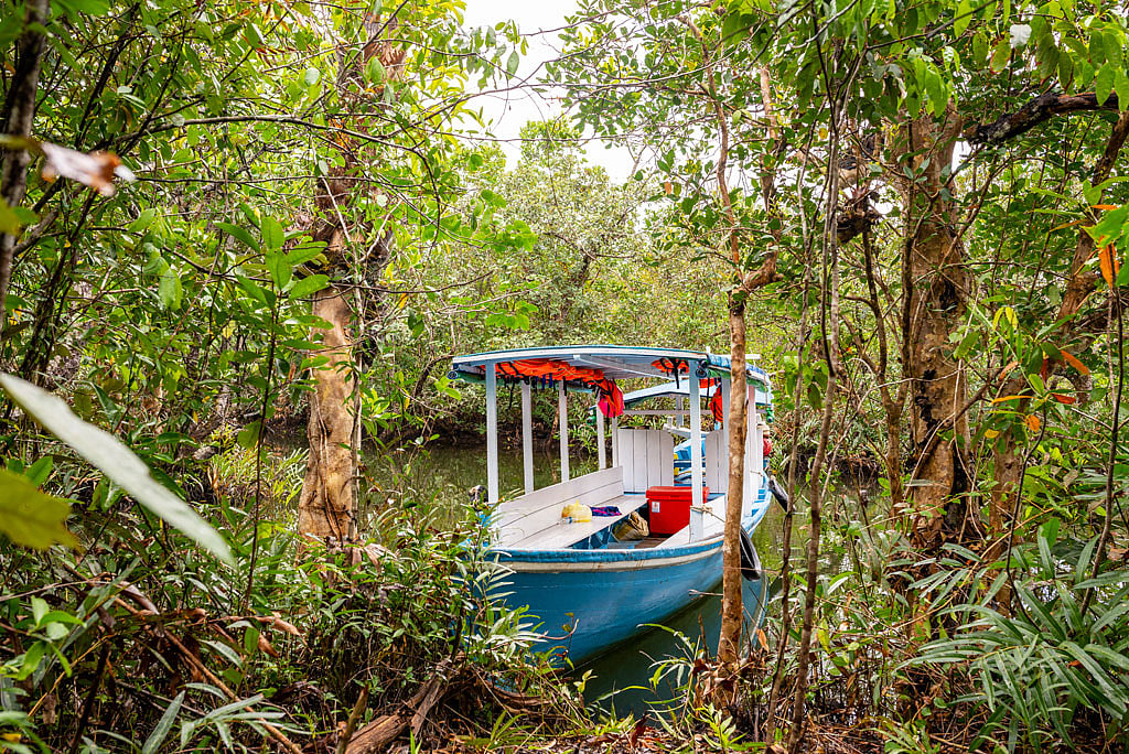 Boating is the only way to sightsee through Bhitarkanika 