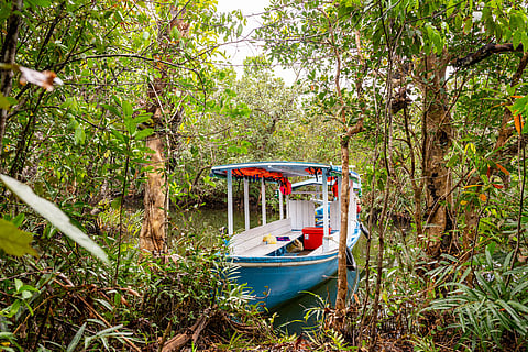 Boating is the only way to sightsee through Bhitarkanika