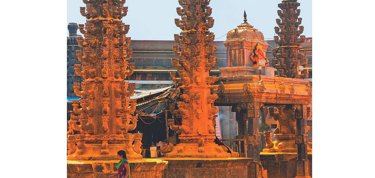 A scene of Khandoba temple immesered in turmeric powder