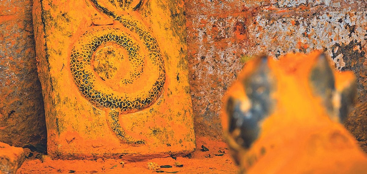 Another scene of Khandoba temple