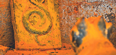 Another scene of Khandoba temple