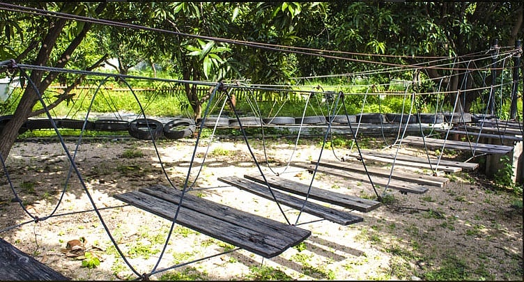 The Mango Orchard Gujarat