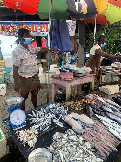 A fish seller at a market in Weligama