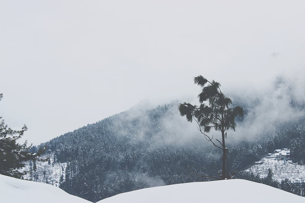 Narkanda sees snow from December to February 