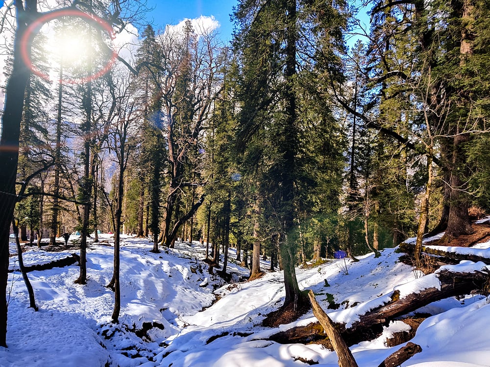 The quiet town of Dhanaulti turns more beautiful after a snowfall 