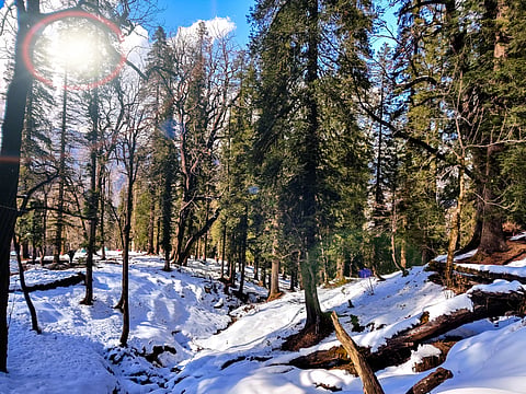 The quiet town of Dhanaulti turns more beautiful after a snowfall