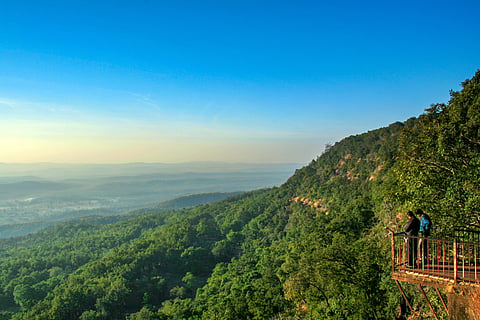 Dhuni Pani is located in the middle of dense forests in Amarkantak in Madhya Pradesh