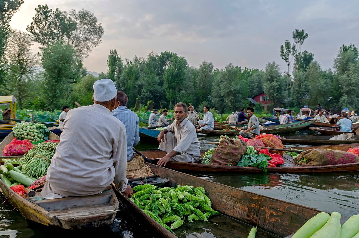 The early morning Floating market at Dal lake 