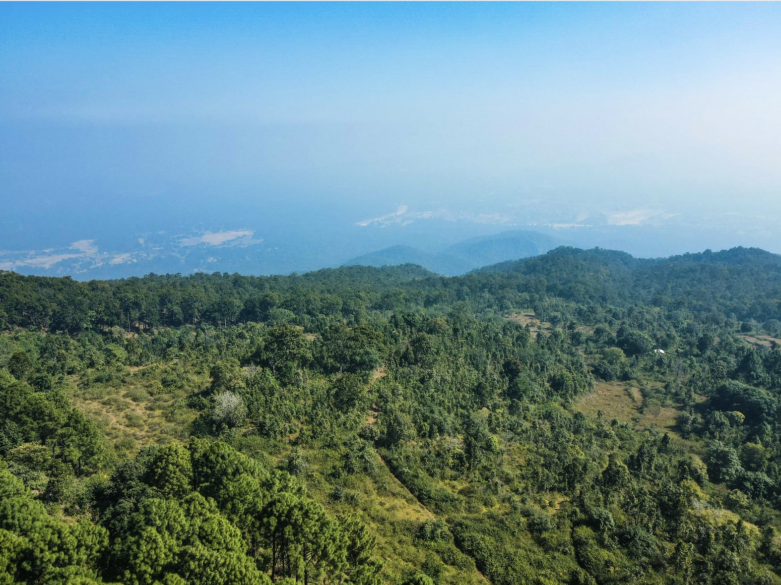 View from the banks of Koel River