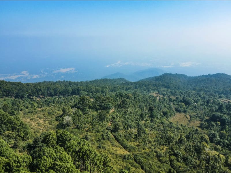 View from the banks of Koel River