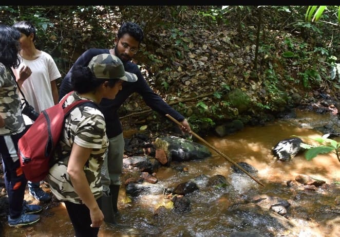 Rainforest ecology workshop