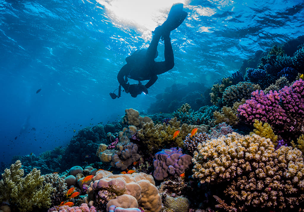 Scuba diving is now possible on Indian coasts