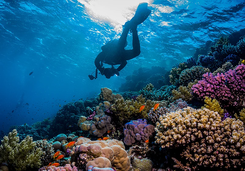 Scuba diving is now possible on Indian coasts