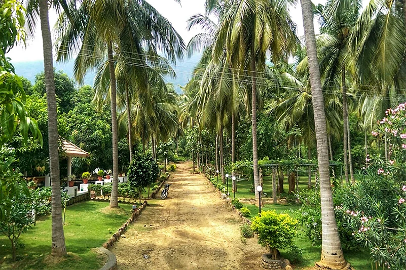 Mango Village Kerala