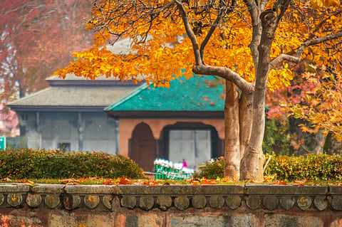 Some famous gardens of Srinagar are Shalimar Bagh and Nishat Bagh