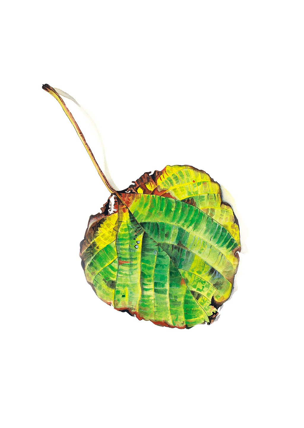 A leaf painting