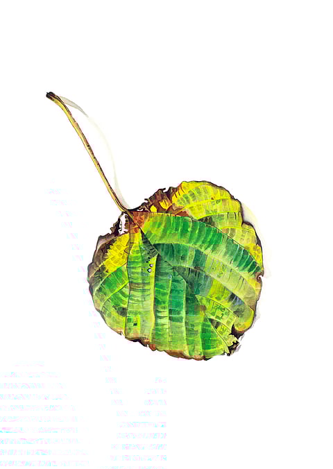 A leaf painting