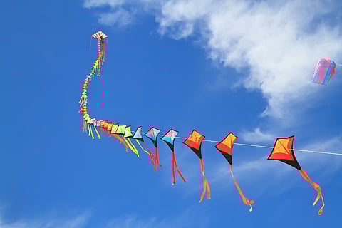 Flying kites on the occasion of Makar Sankranti is a ritual followed by many states in India