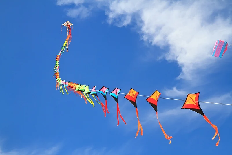 Flying kites on the occasion of Makar Sankranti is a ritual followed by many states in India