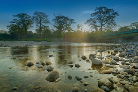 A picturesque tourist destination located on the banks of the River Murti in the Dooars Region