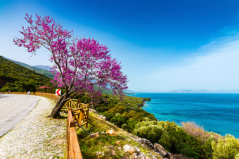 Dilek National Park