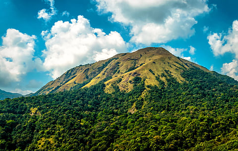 Chikkamagaluru offers verdant hills and valleys