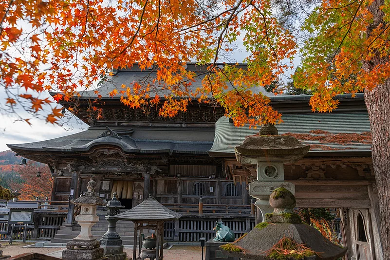 Visit traditional Shinto shrines