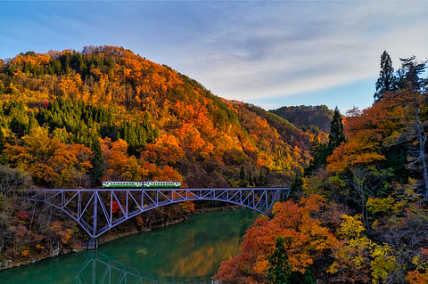 The vistas include seasonal colours