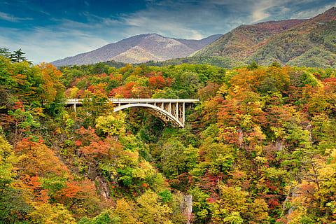Serene landscapes to enjoy on the train ride
