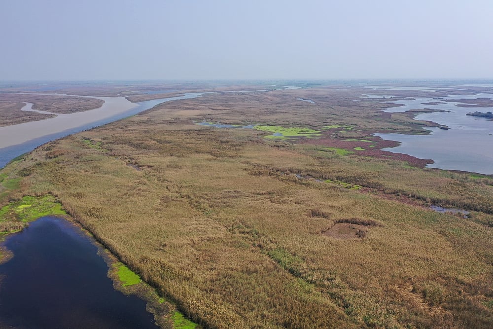 Harike or Hari ke Pattan is where the Sikh army had once infiltrated British territory in the days of the Raj
