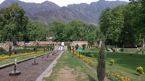 Chashma Shahi Garden