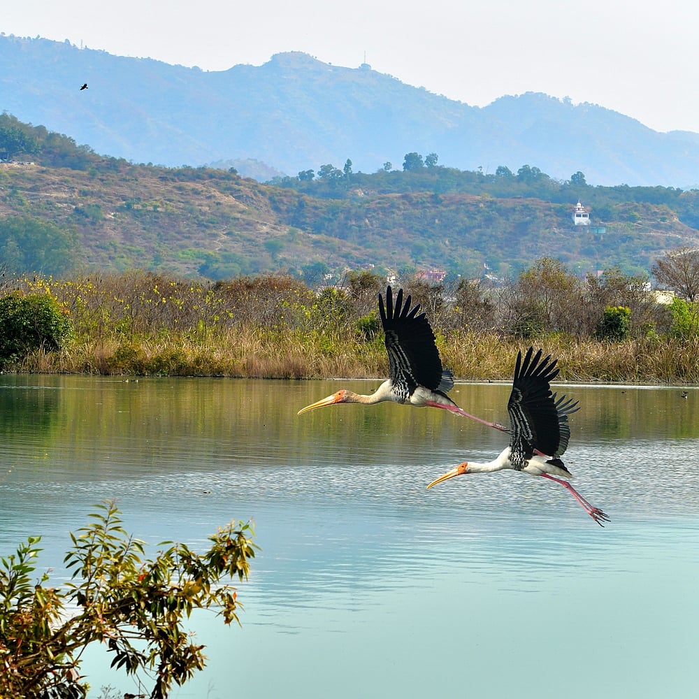 State government has declared Kali Bein a conservation reserve